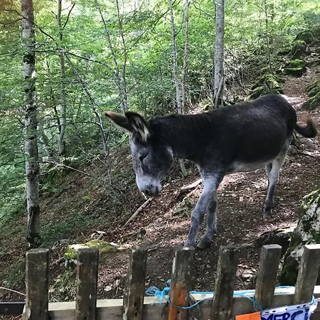 Camping-gites Au Songe Du Valier * Seix