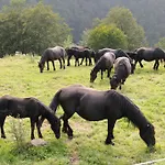 Kemping Camping-gites Au Songe Du Valier