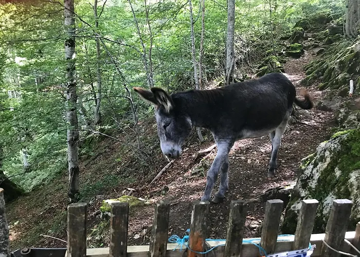 Camping-gites Au Songe Du Valier * سيكْسْ