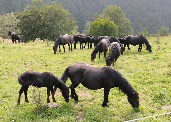 مكان تخييم Camping-gites Au Songe Du Valier